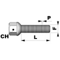 Wielbouten bolconisch